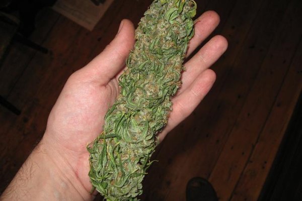Kraken 24 at