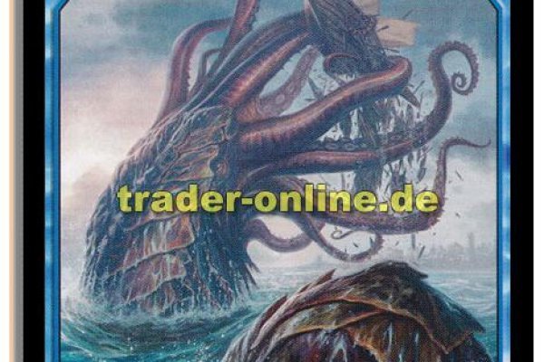 Kraken 24 top