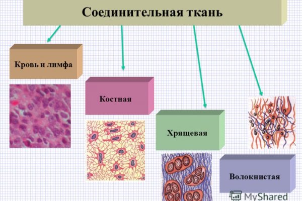 Актуальный домен кракена