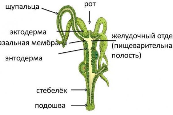 Кракен официальная ссылка kraken torion