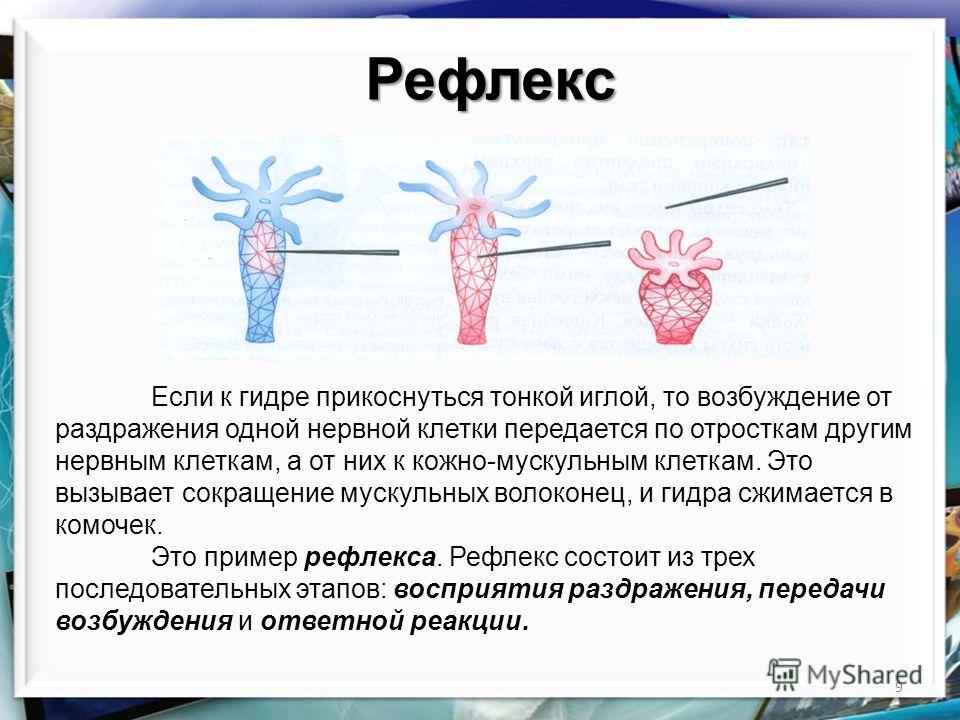 Кракен маркетплейс что это